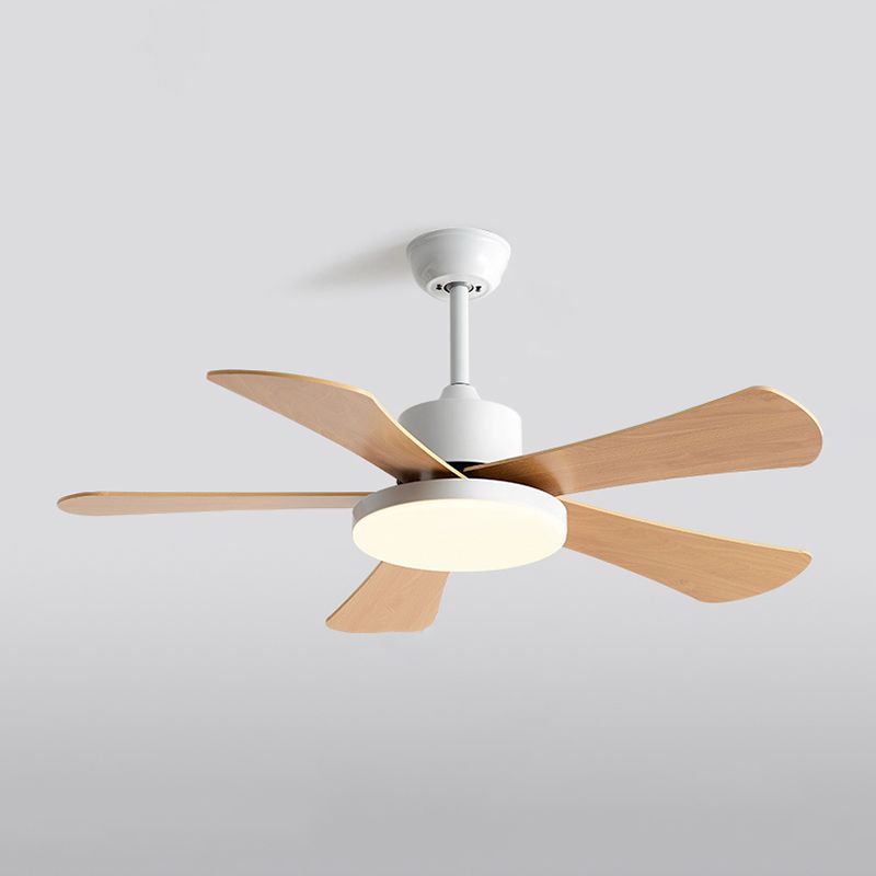 Metal Ceiling Fan Light Modern Style 1 Light Ceiling Fan Lamp for Bedroom