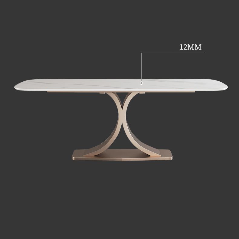 Modern Sintered Stone Dining Room Set with Rectangle Top and Pedestal Base Dining Furniture