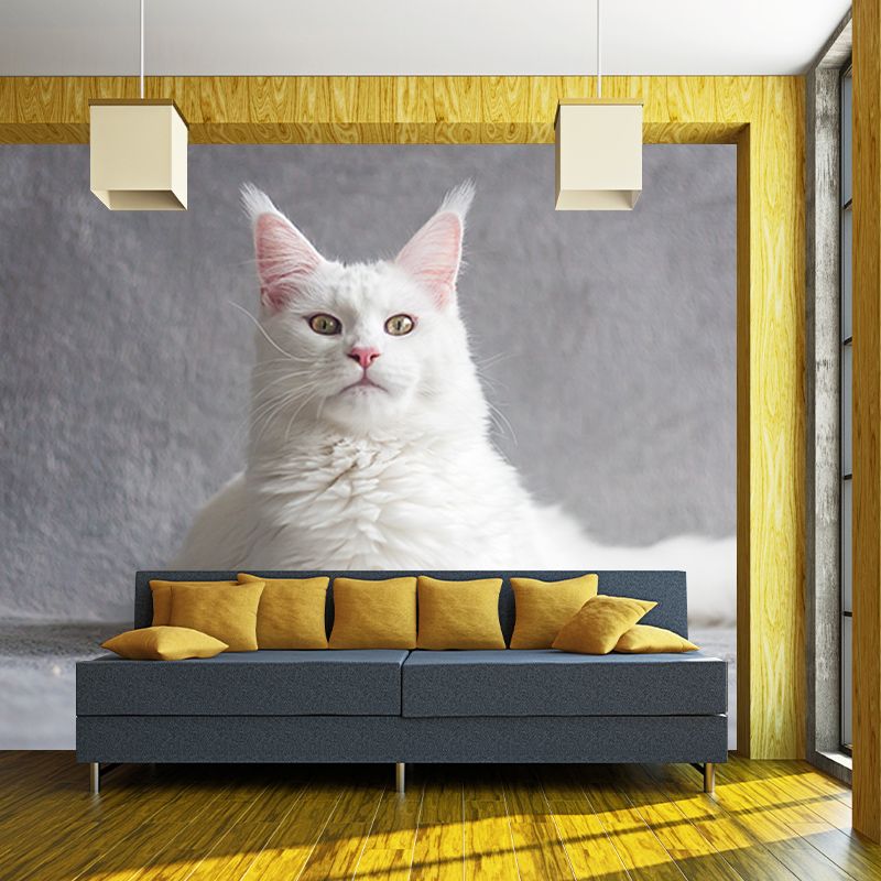 Photography Stain Resistant Wallpaper Cats Living Room Wall Mural