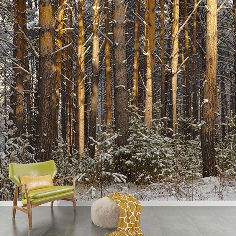 Winter Forest Landscape Mural Wallpaper for Home Decoration, Moisture Resistant