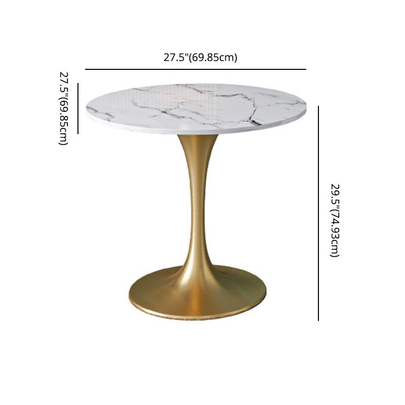 Scandinavian Kitchen Dining Room Set with  Sintered Stone Top and Gold Base Dining Furniture