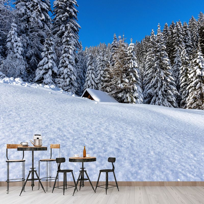 Huge Forest Landscapes Mural Horizontal Photography Wall Covering for Bedroom