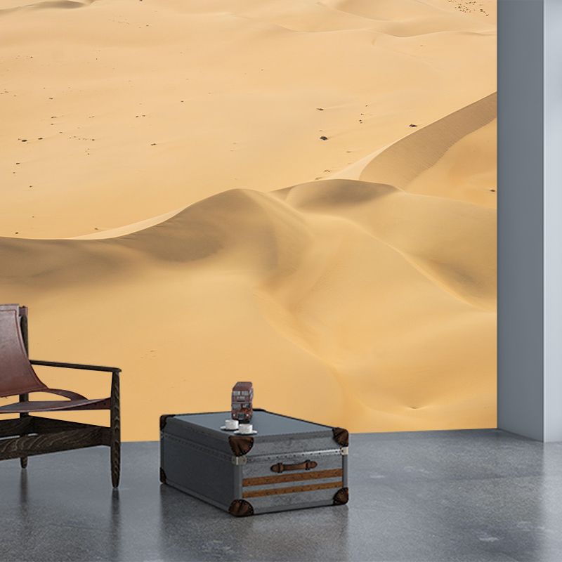 Contemporary Photography Style Desert Mural Wallpaper Mildew Resistant Wall Covering