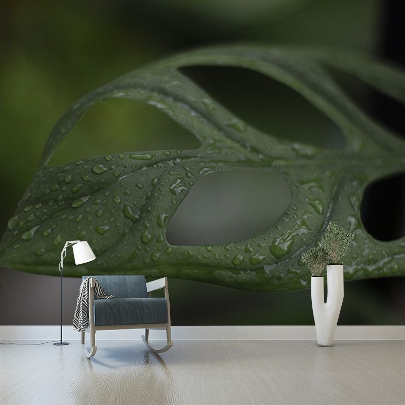 Tropical Monstera Home Decor Modern Sleeping Room Wall Decoration Wallpaper