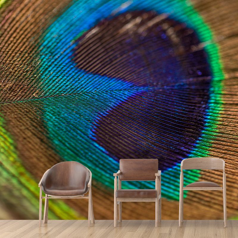Peacock Feather Mural Wallpaper Mildew Resistant Wall Covering for Decoration