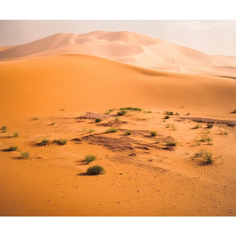 Desert Mildew Resistant Wall Endless Desert Wallpaper Sitting Room Wall Mural