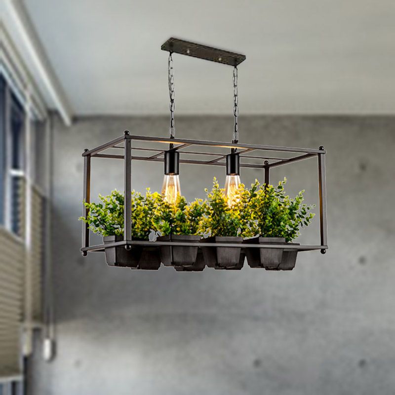 Black 2 Heads Island Lamp Industrial Metal Rectangular LED Plant Hanging Ceiling Light for Restaurant