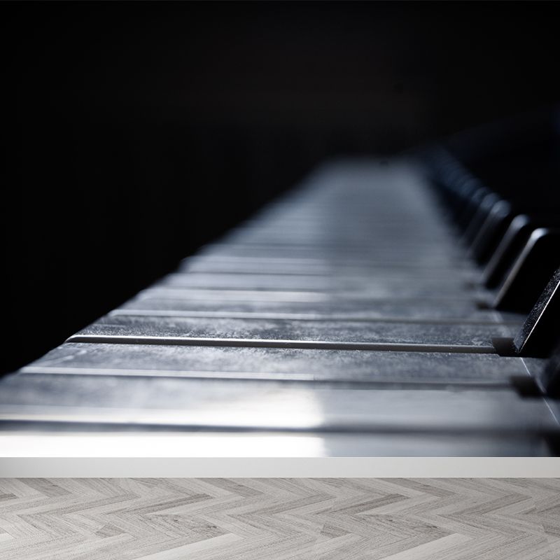 Modern Musical Instrument Wall Mural Decal Full Size, Moisture Resistant