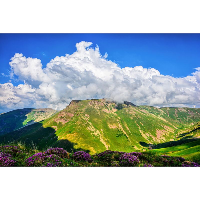 Mountain Scenery Wall Mural Modernism Style Wall Decoration for Living Room