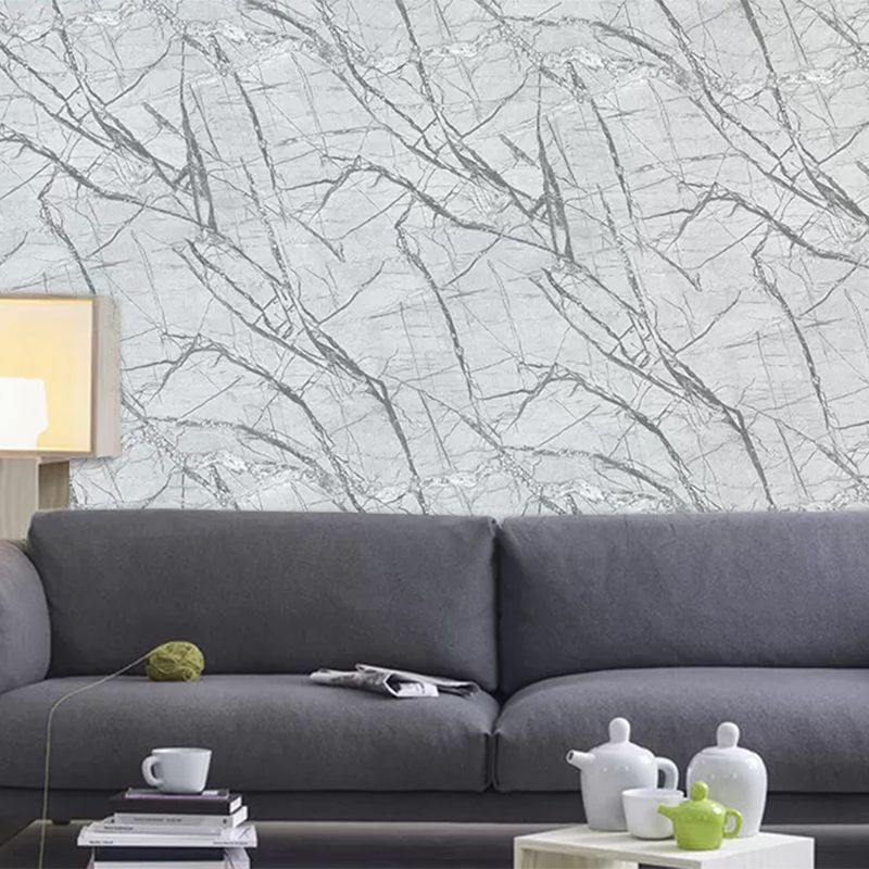 Modern Marble Veins Print Wallpaper for Dining Room 33' x 20.5" Wall Covering in Grey