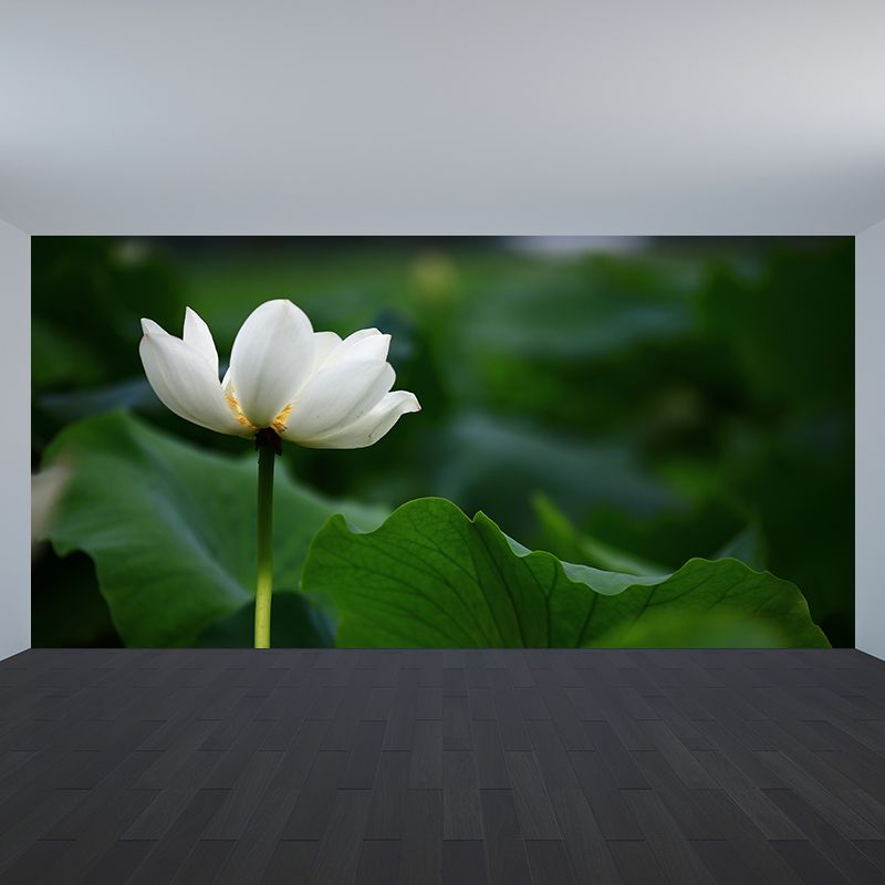 Blooming Lotus Flower Murals Wallpaper Modern Stain Resistant Wall Decor for Bedroom