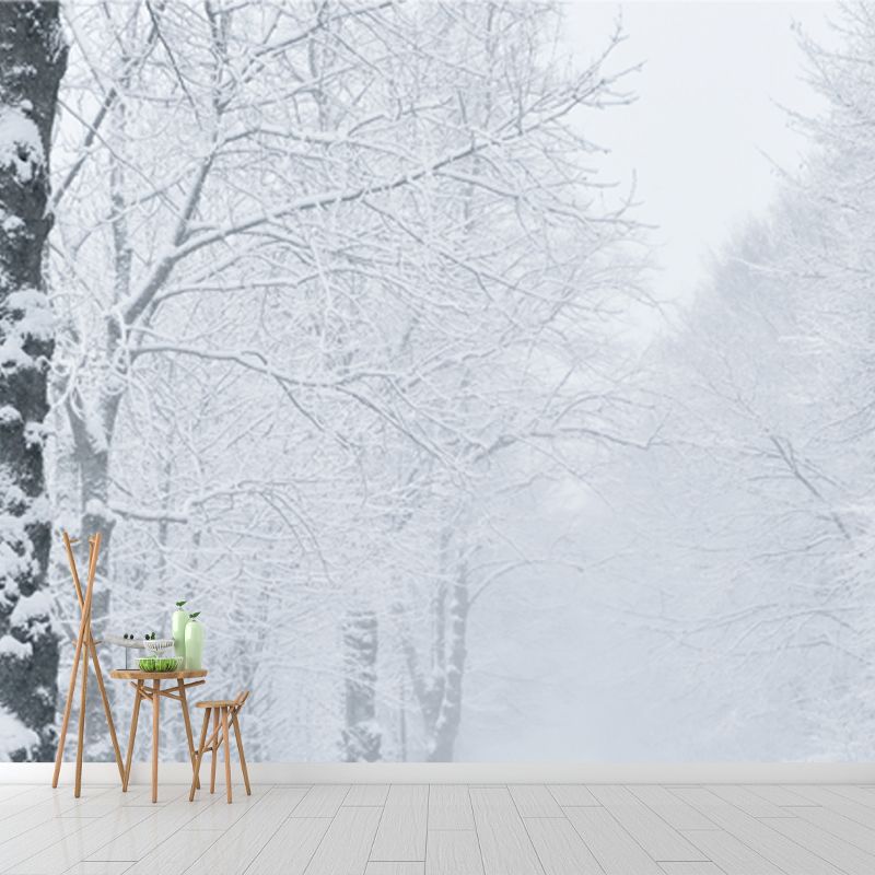 Misty Winter Roadside Forest Mural in White Modernism Wall Decoration for Bedroom