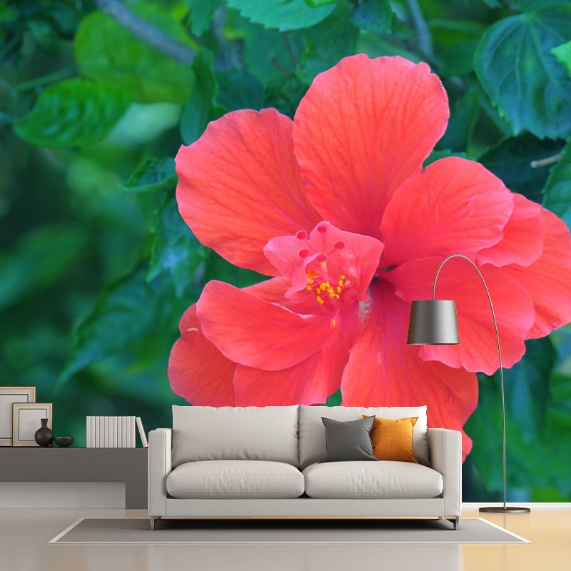 Customized Blooming Hibiscus Mural Wallpaper Contemporary for Guest Room Decor