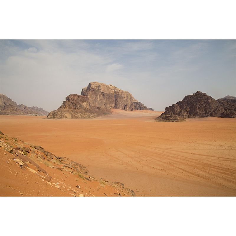 Customized Huge Desert Mural Decorative Mildew Resistant for Living Room Bedroom