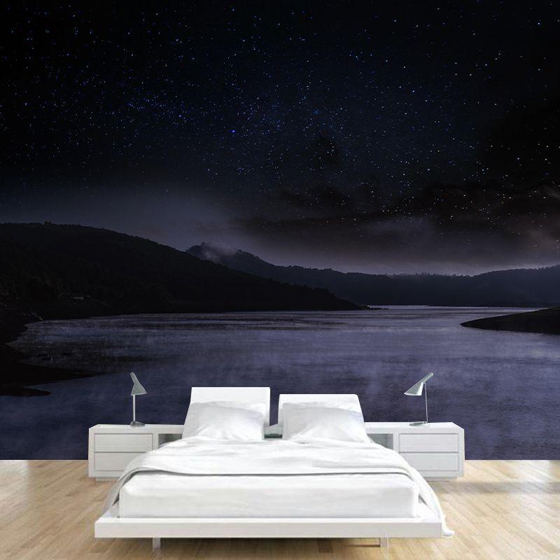 Dark Color Sky Wall Murals Moisture Resistant Contemporary Wall Art for Bedroom