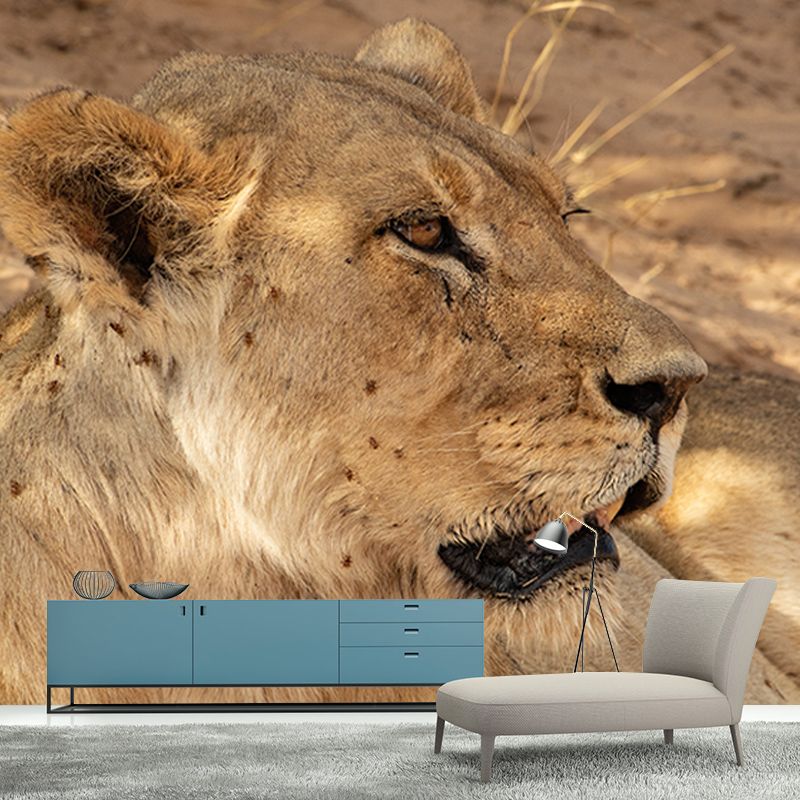 Wild Animals Guest Room Wall Covering Water Resistant Mural, Personalized Size Available