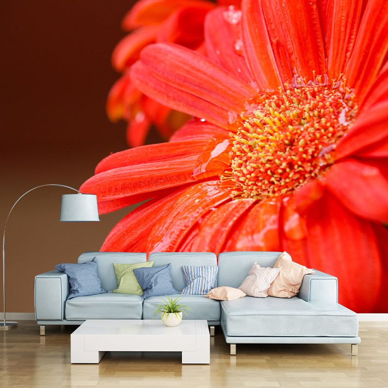 Photography Daisy Mural Wallpaper for Sitting Room Decor Multiple Sizes Available