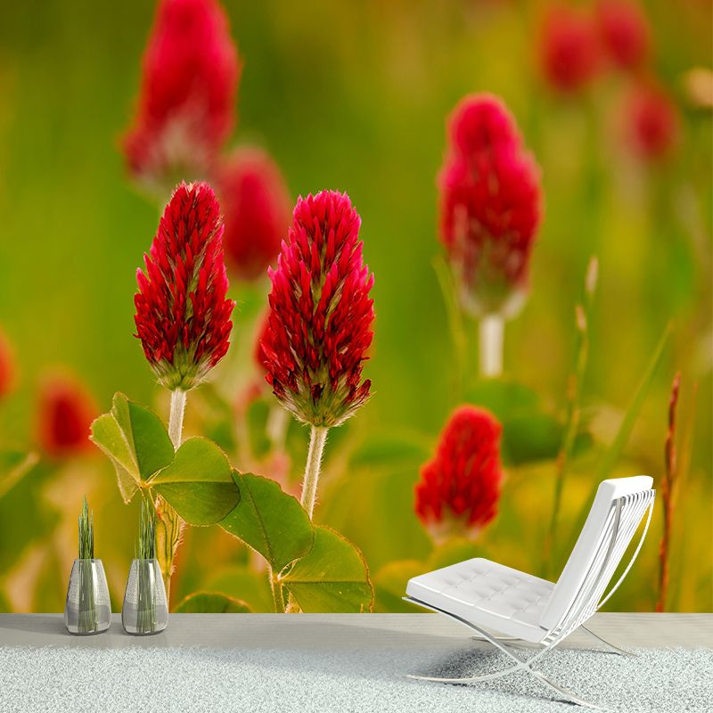 Customized Moisture Resistant Mural Wallpaper Decal Rose Clover Wall Decor