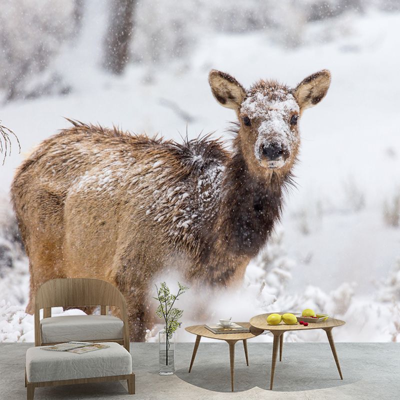 Elk Animal Wallpaper Mural Contemporary Style Wall Art for Living Room