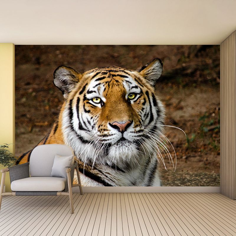 Modern Tiger Close-Up Mural Wall Decor Mildew Resistant Living Room Wall Mural for Wall Decor