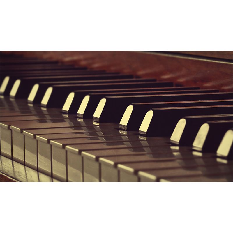 Washable Stain Resistant Wall Mural Wallpaper Musical Instruments Sitting Room Wall Mural