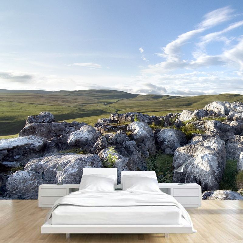 Whole Landscape Mural Decal Modern Fascinating Stone and Leafless Tree Wall Decor in Grey