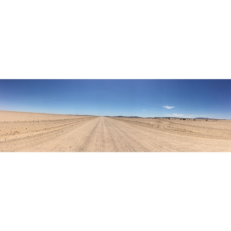 Mural Wallpaper Contemporary Photography Style Desert Mildew Resistant for Home Decor