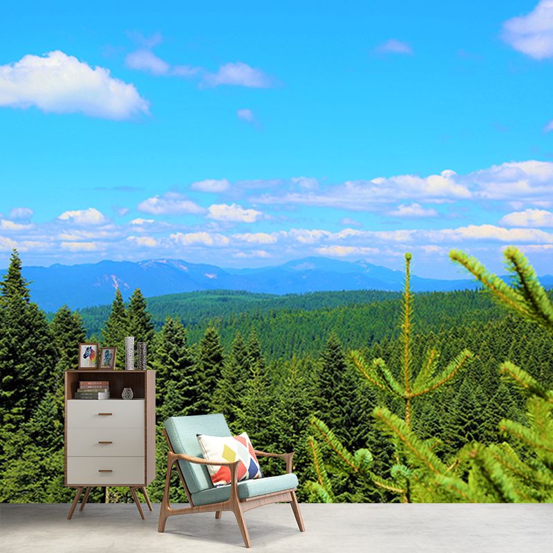 Forest Mountain Style Forest Mural Horizontal Photography Sitting Room Wall Mural