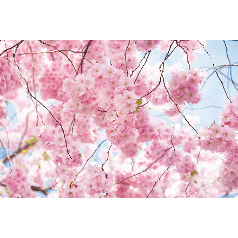 House Decor Flower Stamens Mural Decal Personalise Modern Wall Covering for Playroom