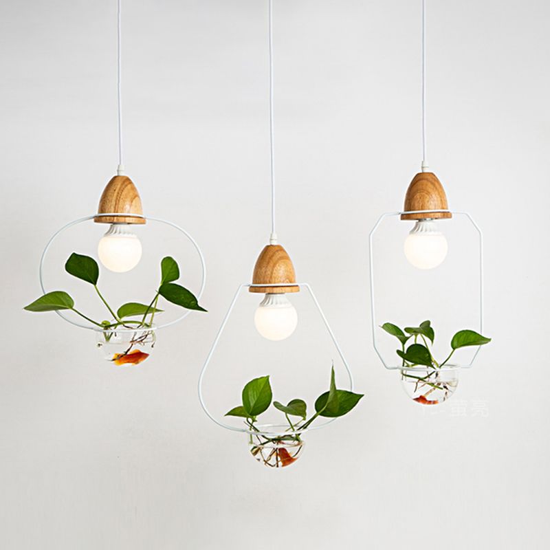 Nordic Style Hanging Light with Glass Plant Culture Dish Creative Pendant Lamp (Without Plants)