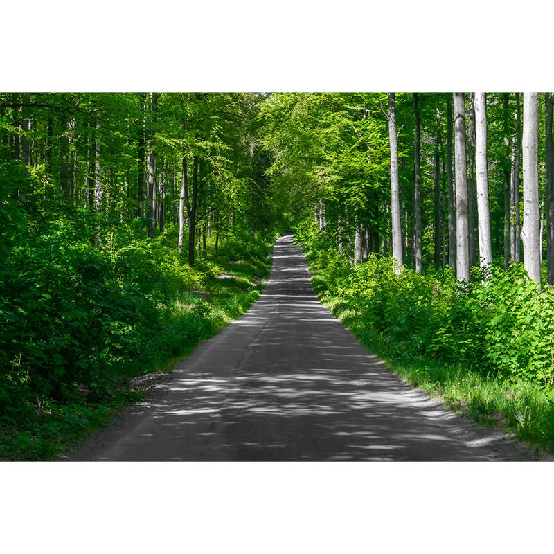 Customized Photography Space Extension Mural Eco-friendly Wallpaper for Home Decor