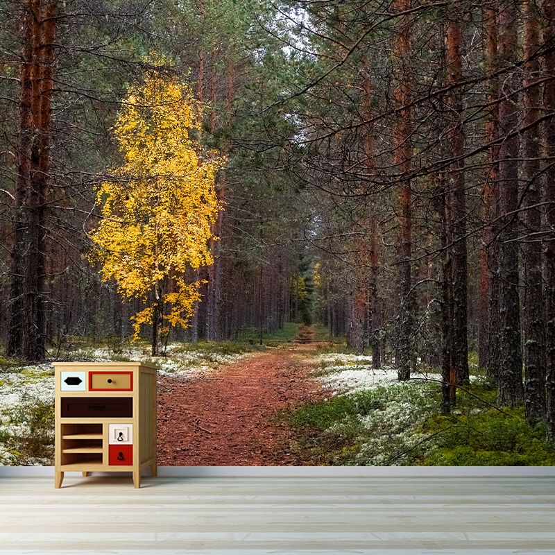 Forest Mural Wallpaper Full Size Stain-Resistant Living Room Home Decor