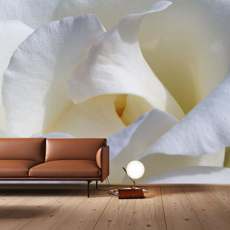 Beautiful Close-up of Rose Mural Wallpaper Photography Horizontal Wall Decor for Home