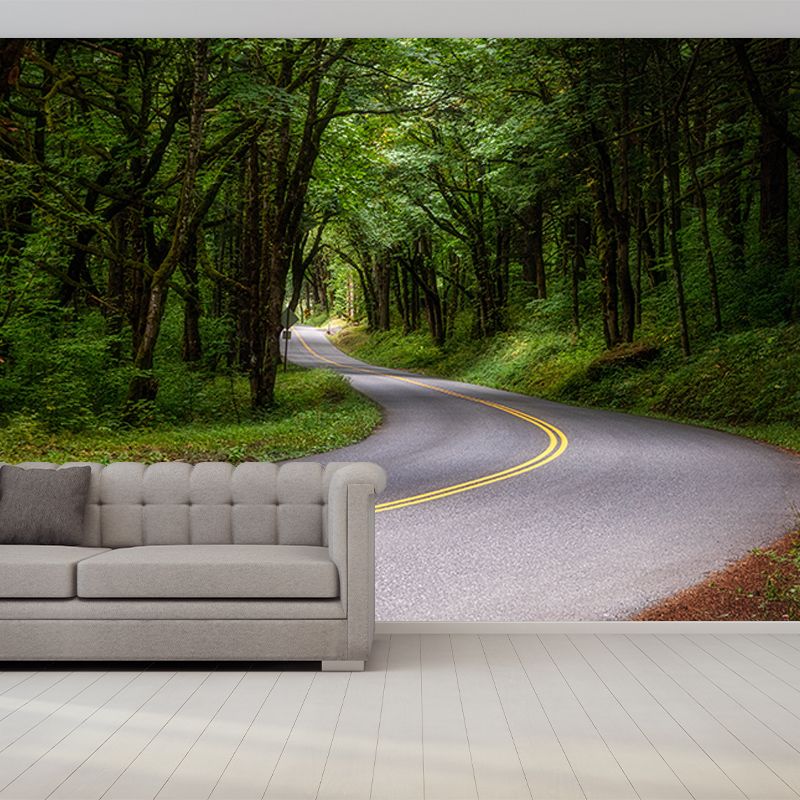 Environmental Photography Mural Wallpaper Outdoor Path Indoor Wall Mural