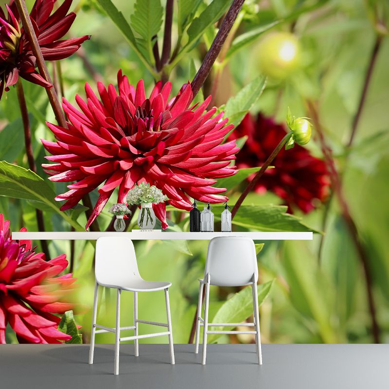 Customized Dahlias Mural Wall Covering Decorative Mildew Resistant for Living Room