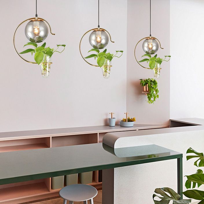 1 Light Hydroponics Botany Pendant Light moderne moderne Minimaliste en verre sphérique Salle de restauration