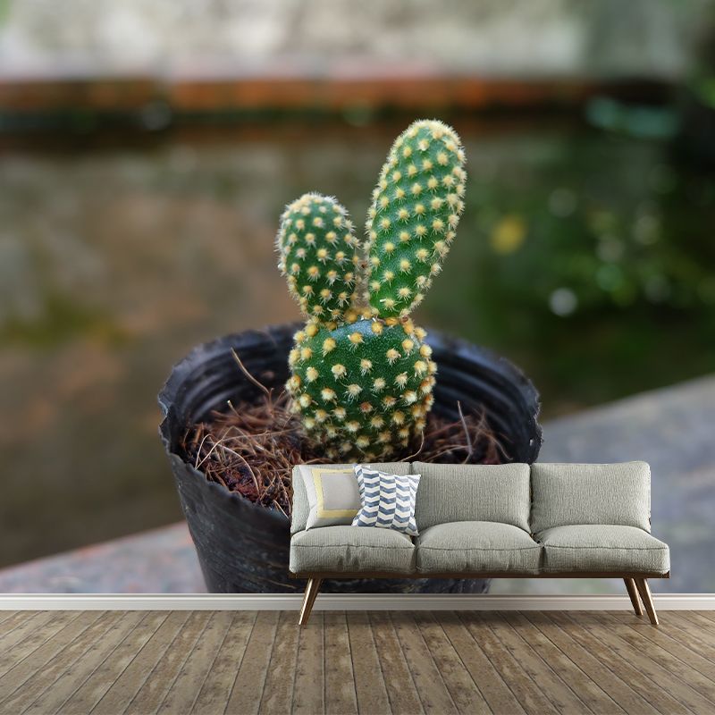 Green Cactus Mural Wallpaper Contemporary Home Decoration for Living Room