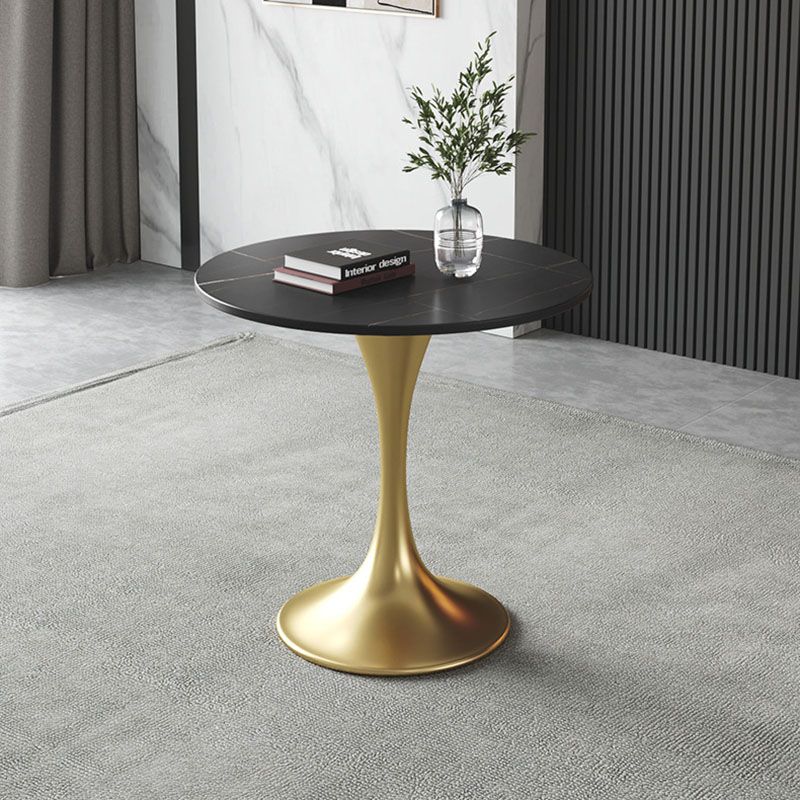 Metal Traditional Luxury Round Table for Home Sintered Stone Table with Tulip