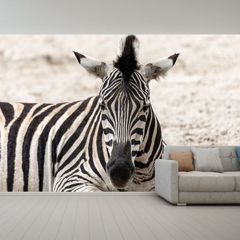 Black and White Zebra Mural for Sleeping Room Waterproof, Made to Measure