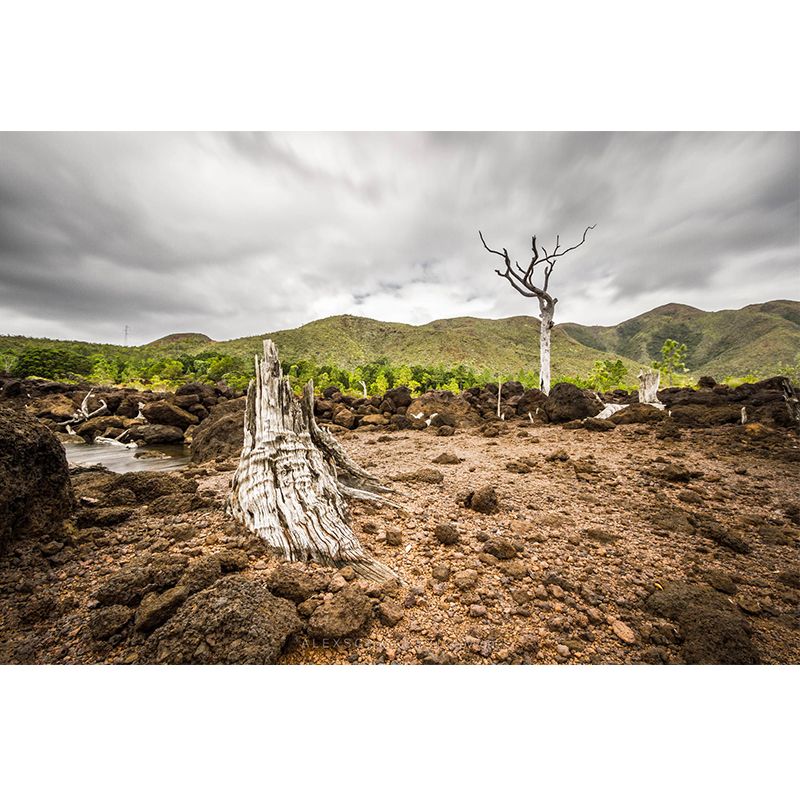 Brown Bare Ground Mural Wallpaper Moisture Resistant Nordic Living Room Wall Decor