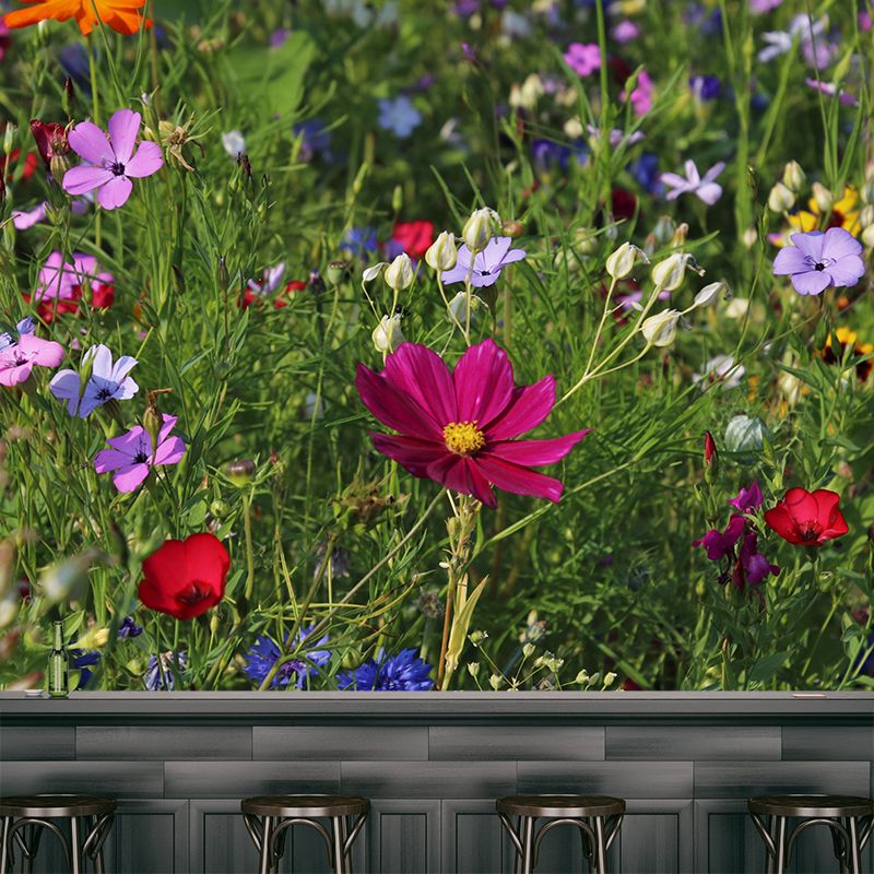 Meerkleurig bloem verwijderbaar muurschilderingbehang Vlekbestendig decor voor slaapkamer