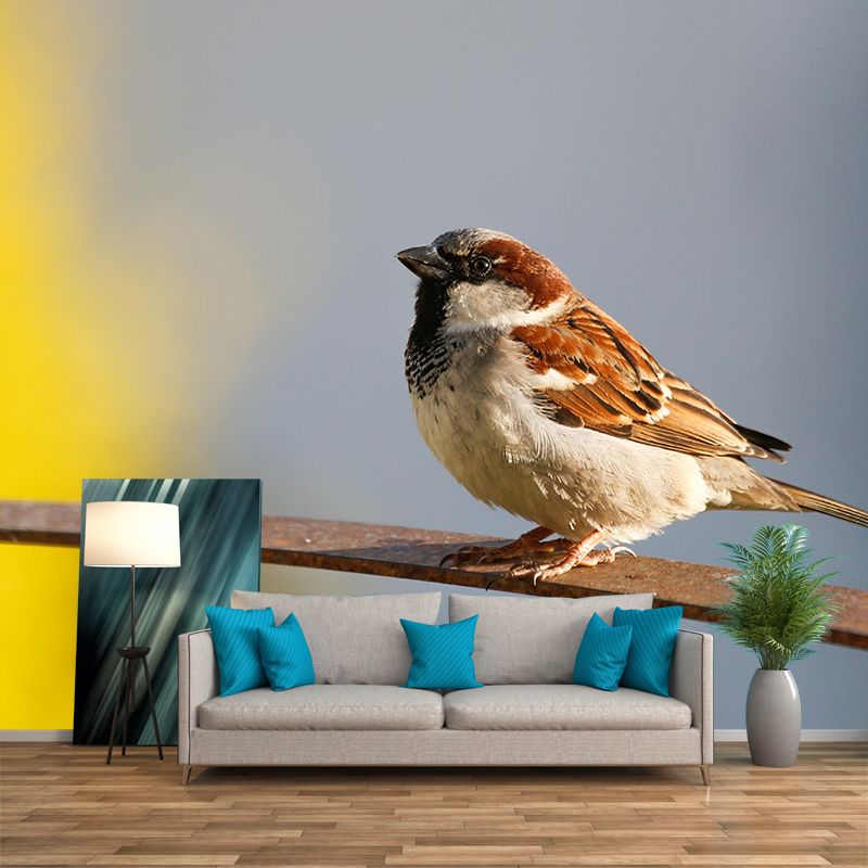 Sparrow Contemporary Mural Wallpaper Mildew Resistant Wall Decor for Accent Wall