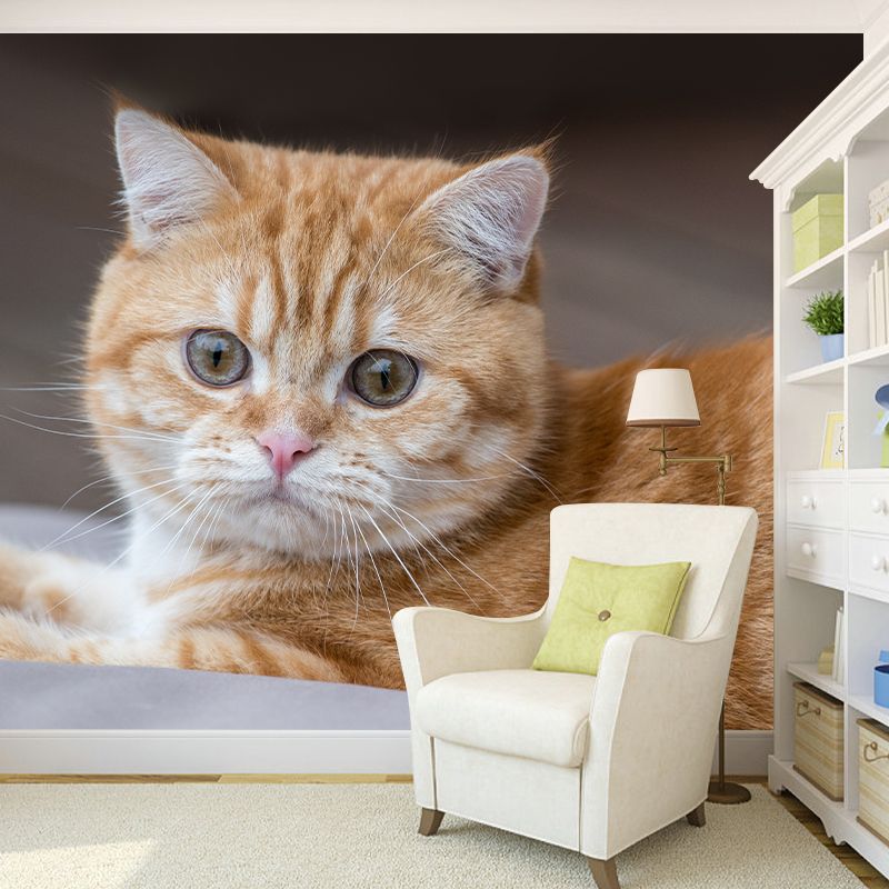 Super Cute Cat Wall Decals Water Resistant Bedroom Living Room Wall Decor Murals