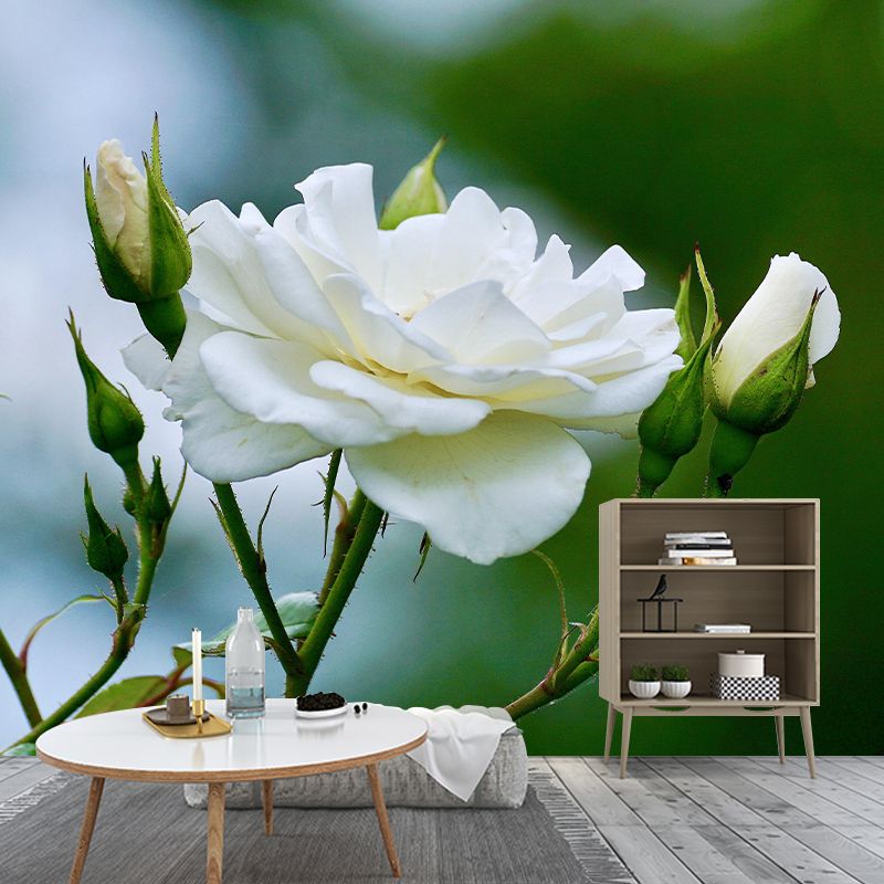 Beautiful Rose Mural Wallpaper Mildew Resistant for Living Room Bedroom Decor