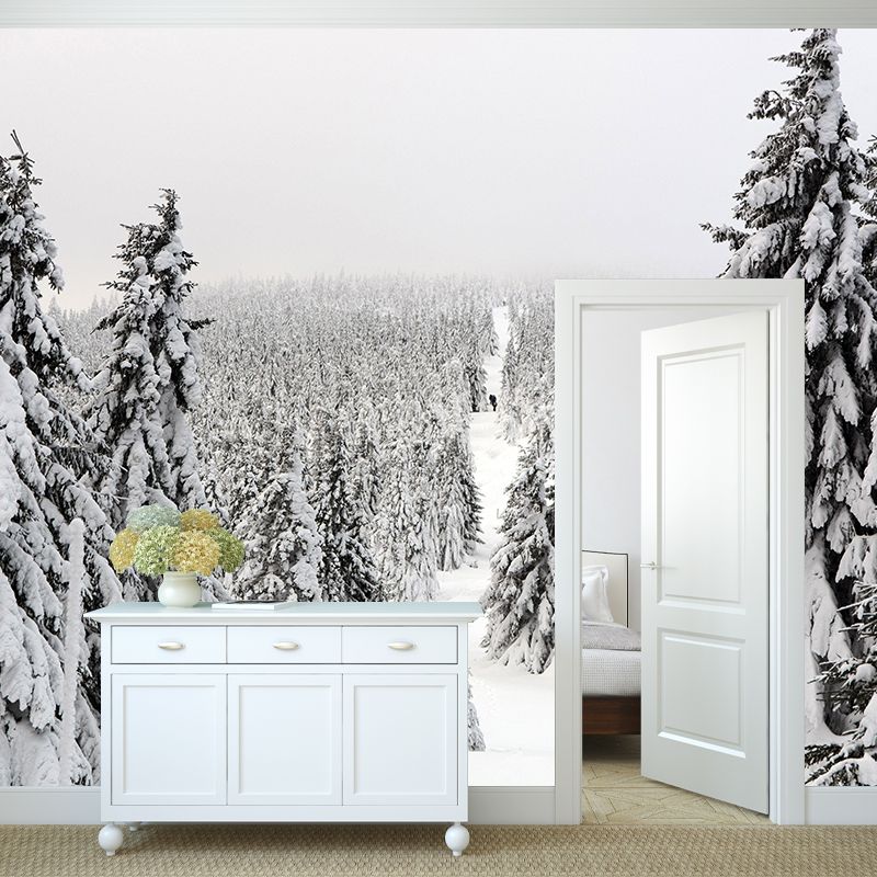 Misty Forest Scenery Wall Mural Modern Wall Decor in zachte kleuren voor Accent Wall