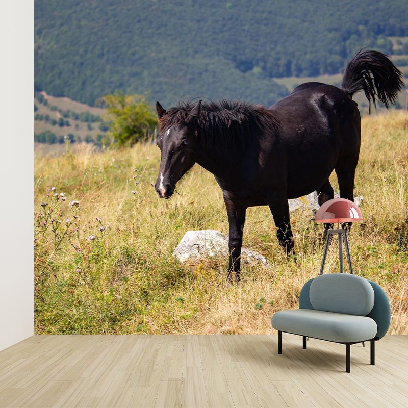 Customized Horse Wall Mural Wallpaper Horizontal Photography for Sitting Room