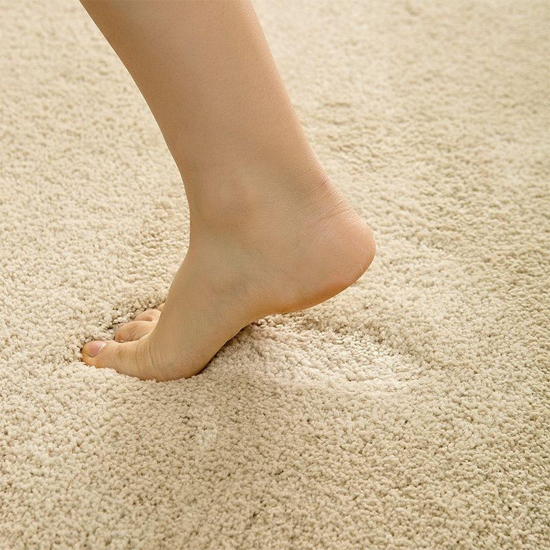 Brown Modern Carpet Solid Color Polyester Rug Easy Care Washable Rug for Living Room