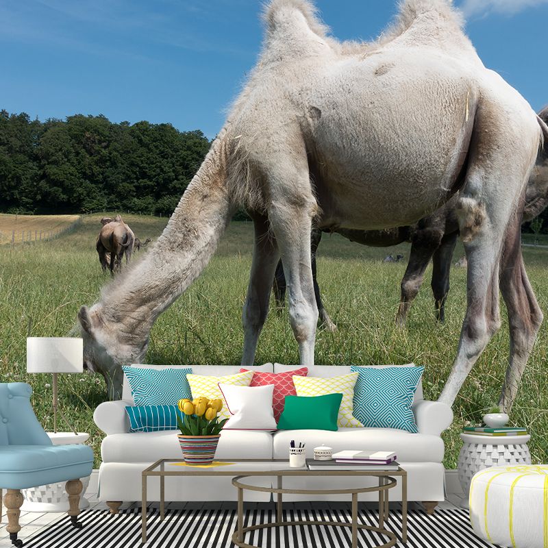 Desert Camel Wallpaper for Bedroom, Waterproofing, Custom Size Available