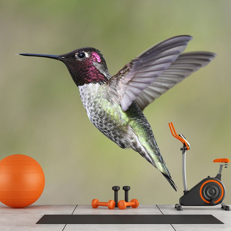 Modern Hummingbird Wall Mural Decal Eco-friendly Stain Resistant for Sitting Room