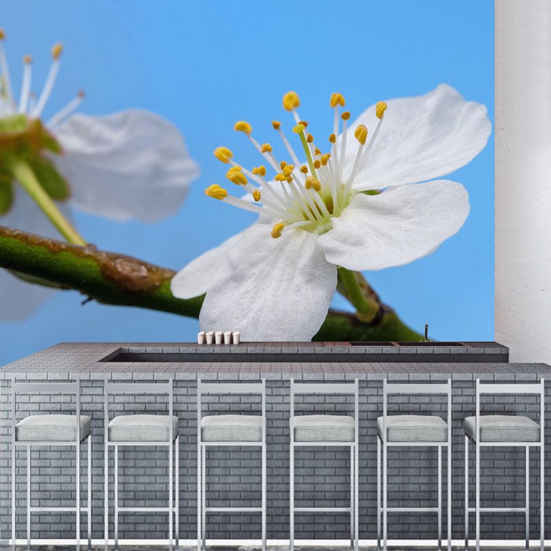 Beautiful Flowers Murals Wallpaper Modern Stain Resistant Wall Decor in Multi-Clor